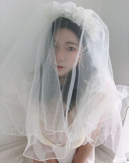 维度战记_高清免费全集观看