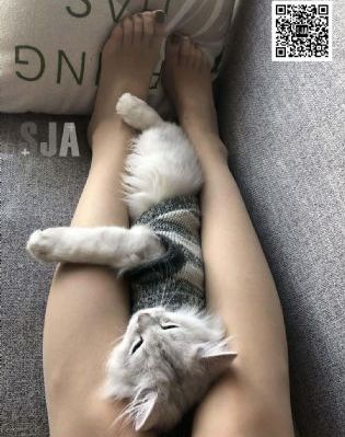 我和我的祖国免费高清播放_BD英语免费高清观看
