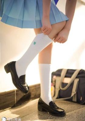 瓢虫雷迪第四季全集_蓝光完整视频观看